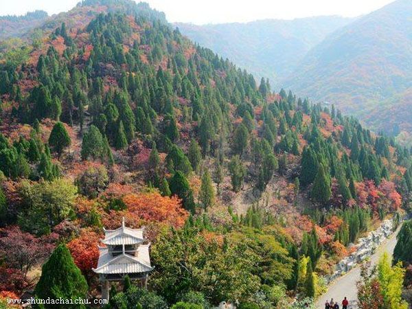 常熟苏州拆除公司